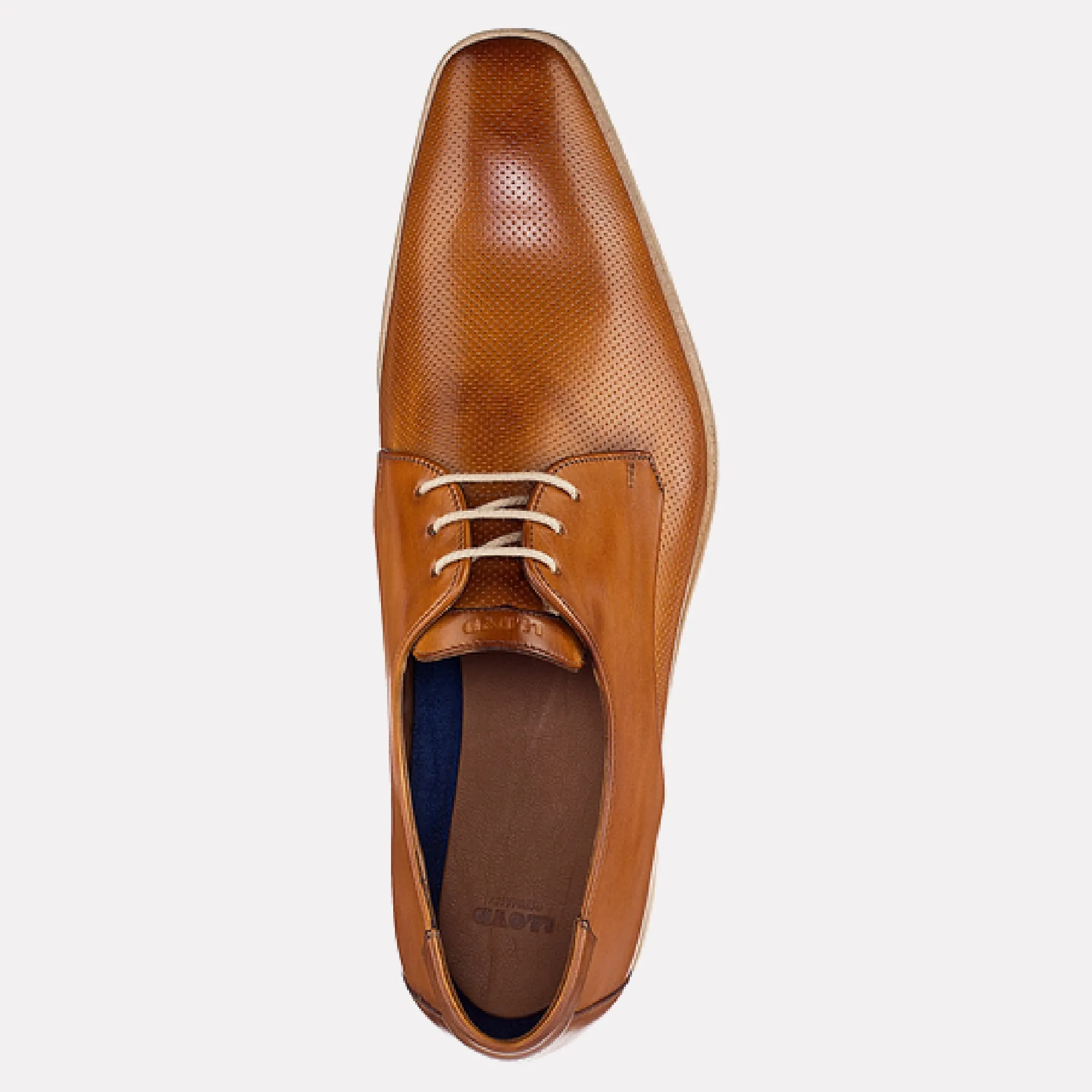 Felton Embossed Leather Chisel-Toe Derby / Brandy